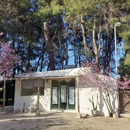 I 2 Leoni Bed & Breakfast *